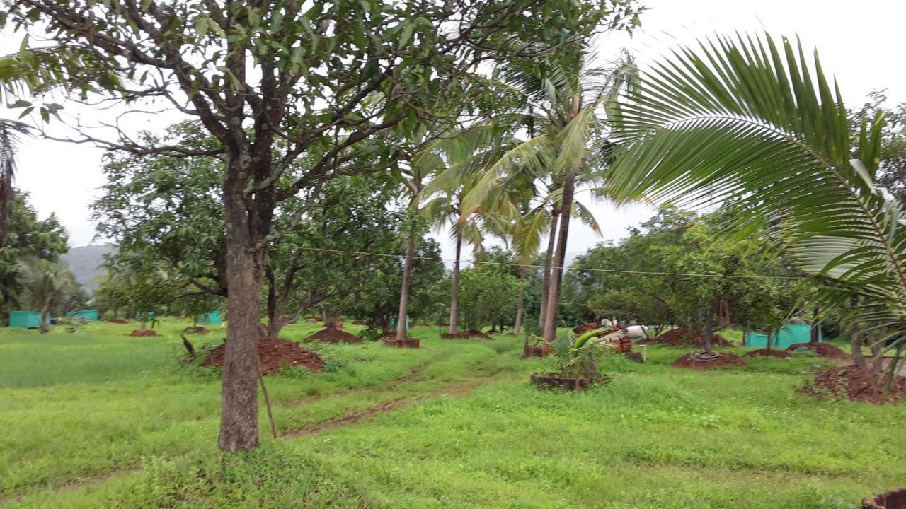 Shree Samarth Farmhouse Murud  Ngoại thất bức ảnh