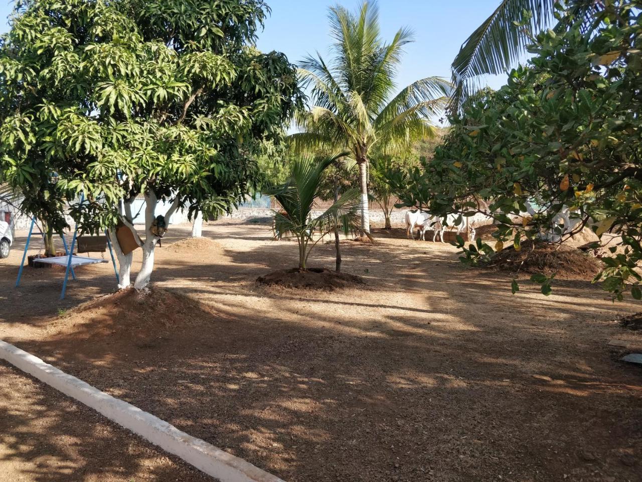 Shree Samarth Farmhouse Murud  Ngoại thất bức ảnh